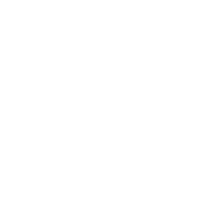 Boundless Technologies client brand logo 9