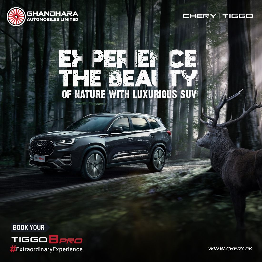 Chery Pakistan campaign post