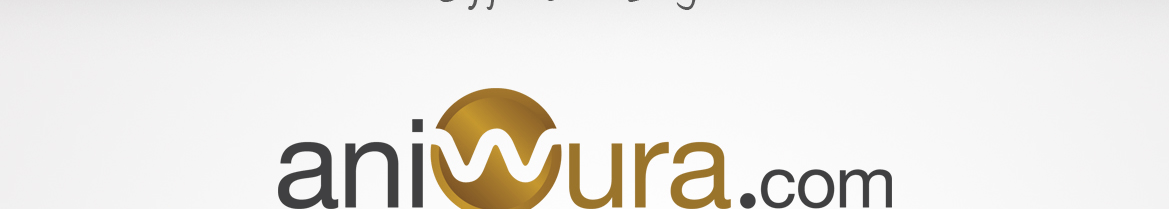Aniwura design presentation