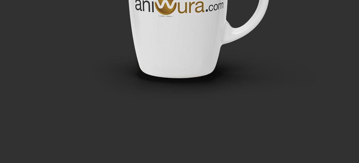 Aniwura design presentation