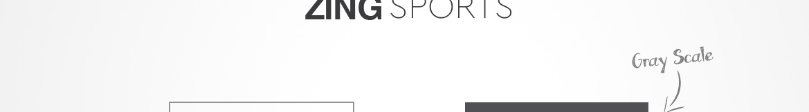Zing Sports design presentation