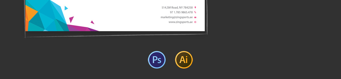 Zing Sports design presentation