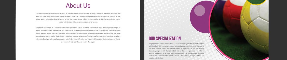 Zing Sports design presentation