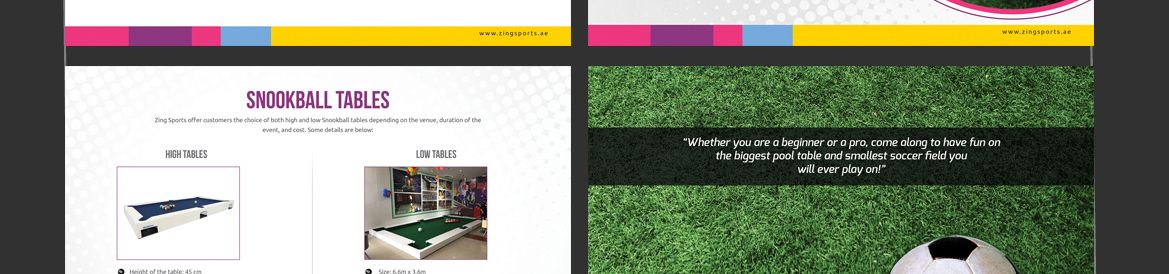 Zing Sports design presentation