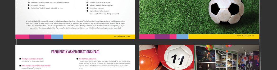 Zing Sports design presentation