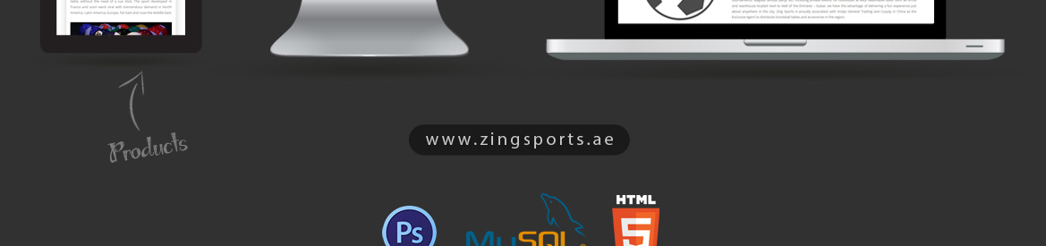 Zing Sports design presentation