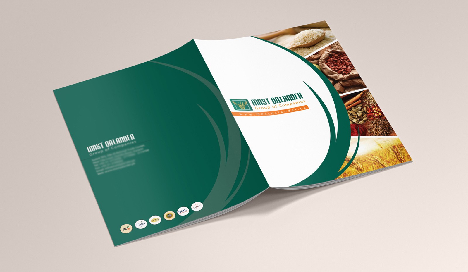 Brand Identity Portfolio