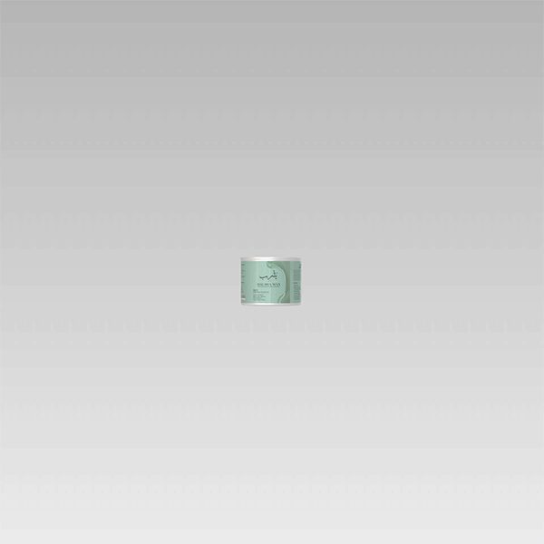 Boundless Technologies Hal packaging design