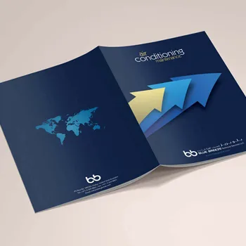 Boundless Technologies company profile design