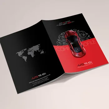 Boundless Technologies company profile design