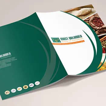 Boundless Technologies company profile design